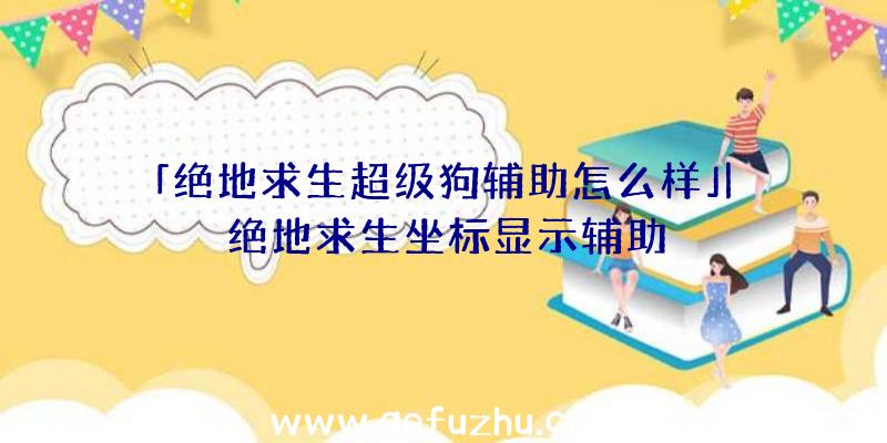 「绝地求生超级狗辅助怎么样」|绝地求生坐标显示辅助